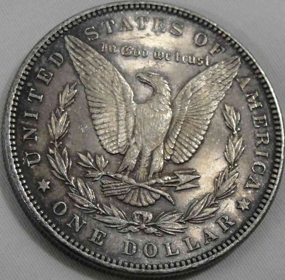 Grading-This-1891-Morgan-Dollar